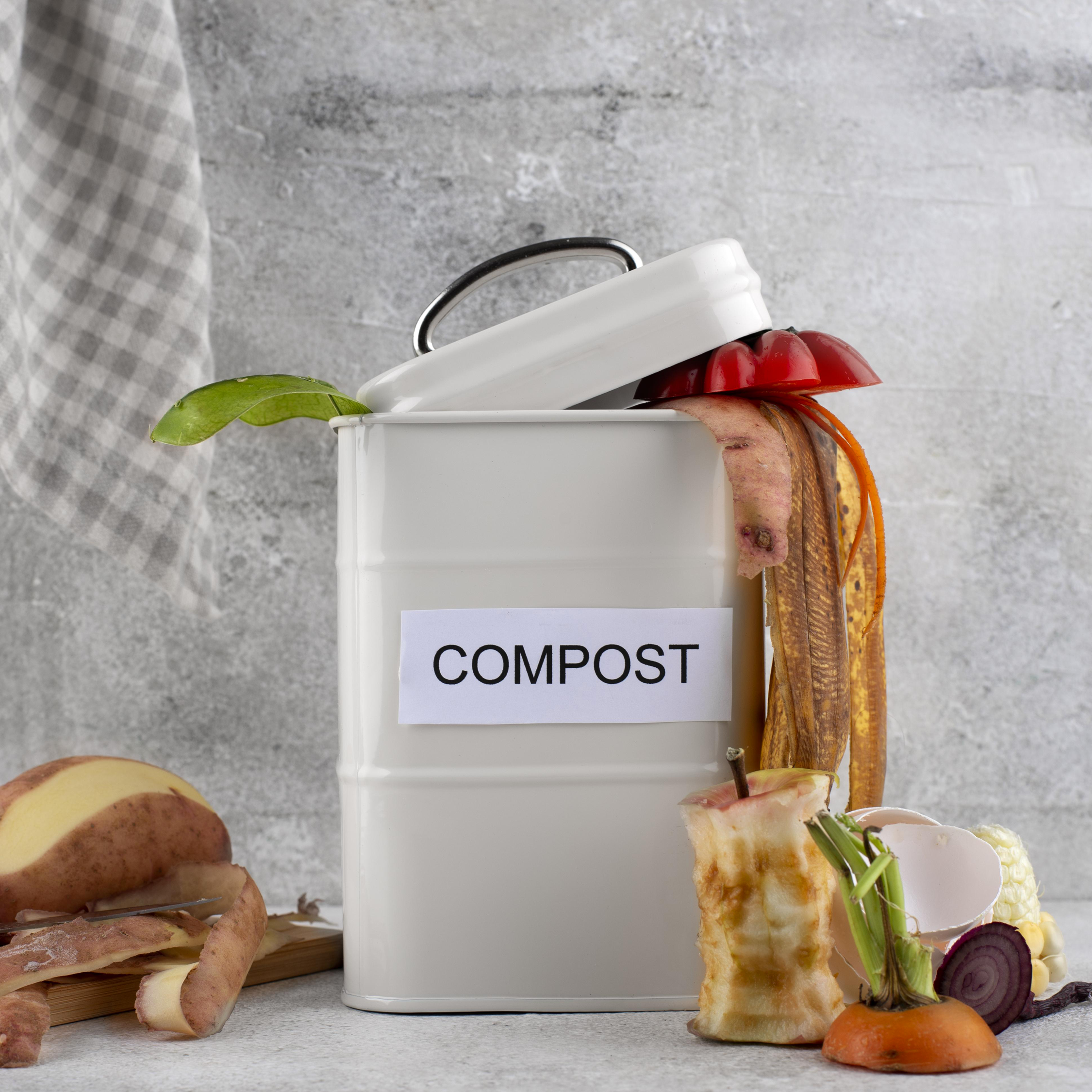 Compostaje en Apartamentos: Guía Práctica para Espacios Pequeños