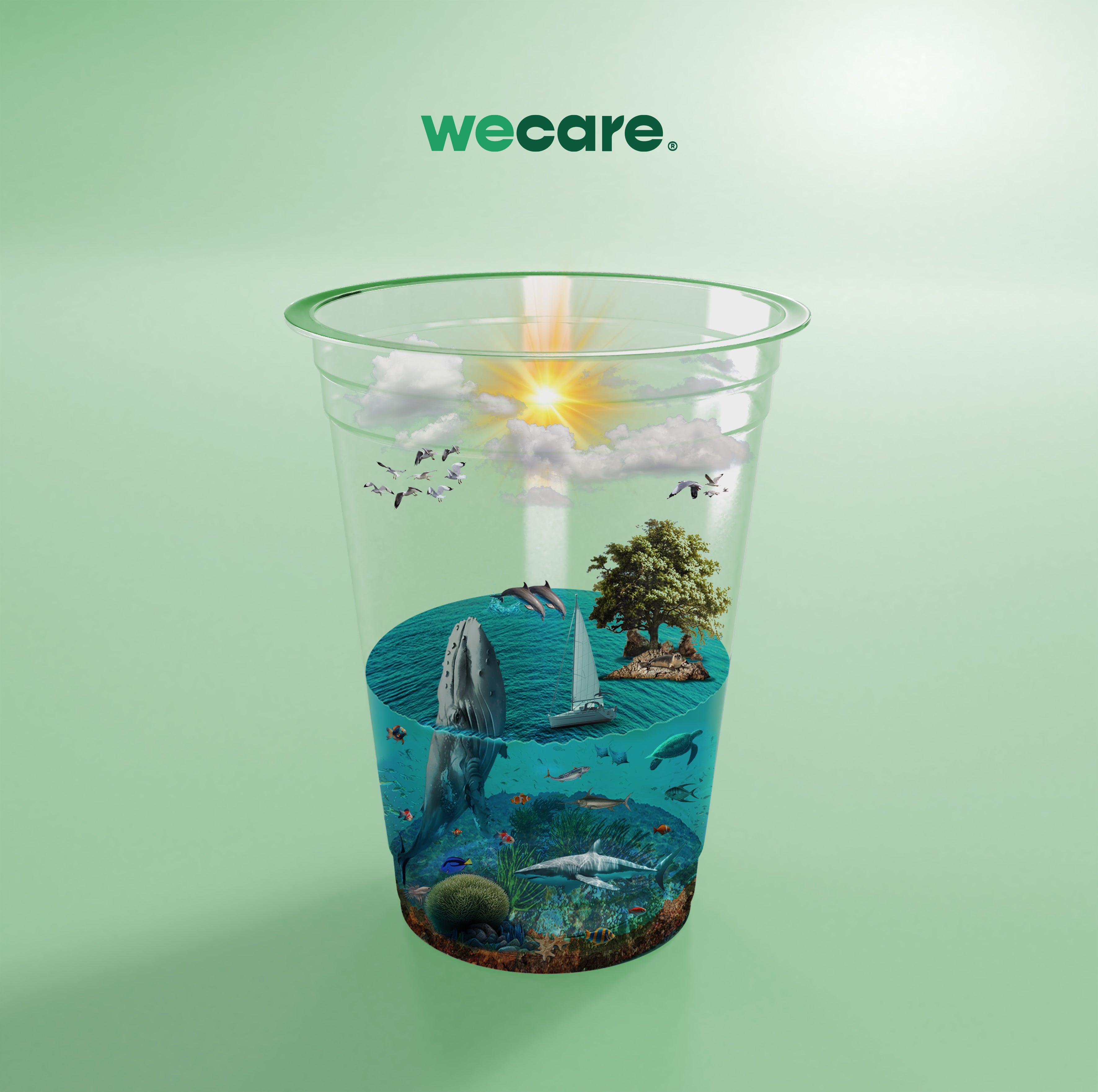 Celebrando la Abundancia de Vida en el Día Internacional de la Diversidad Biológica