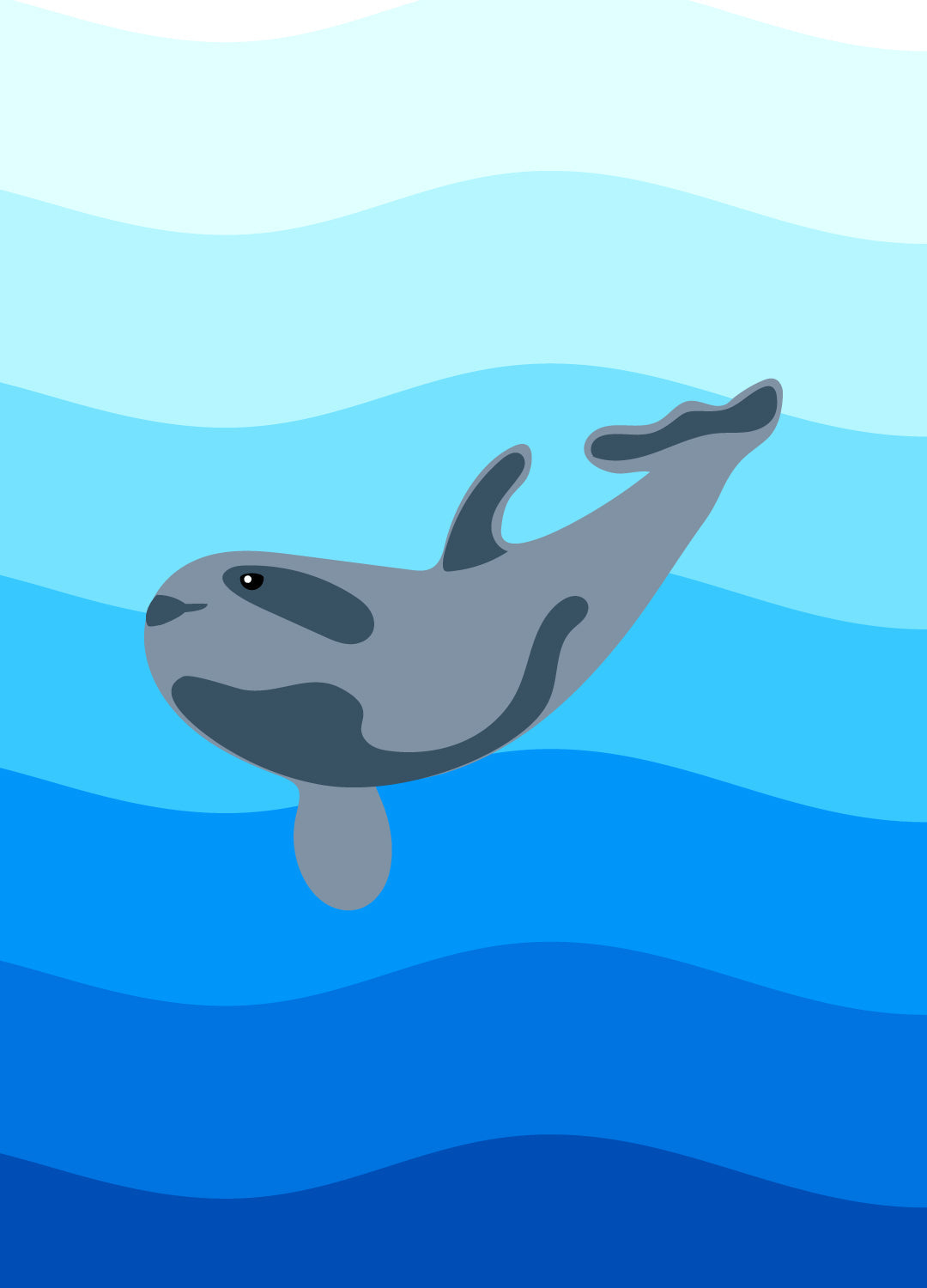 What is happening with the vaquita porpoise? 🐳