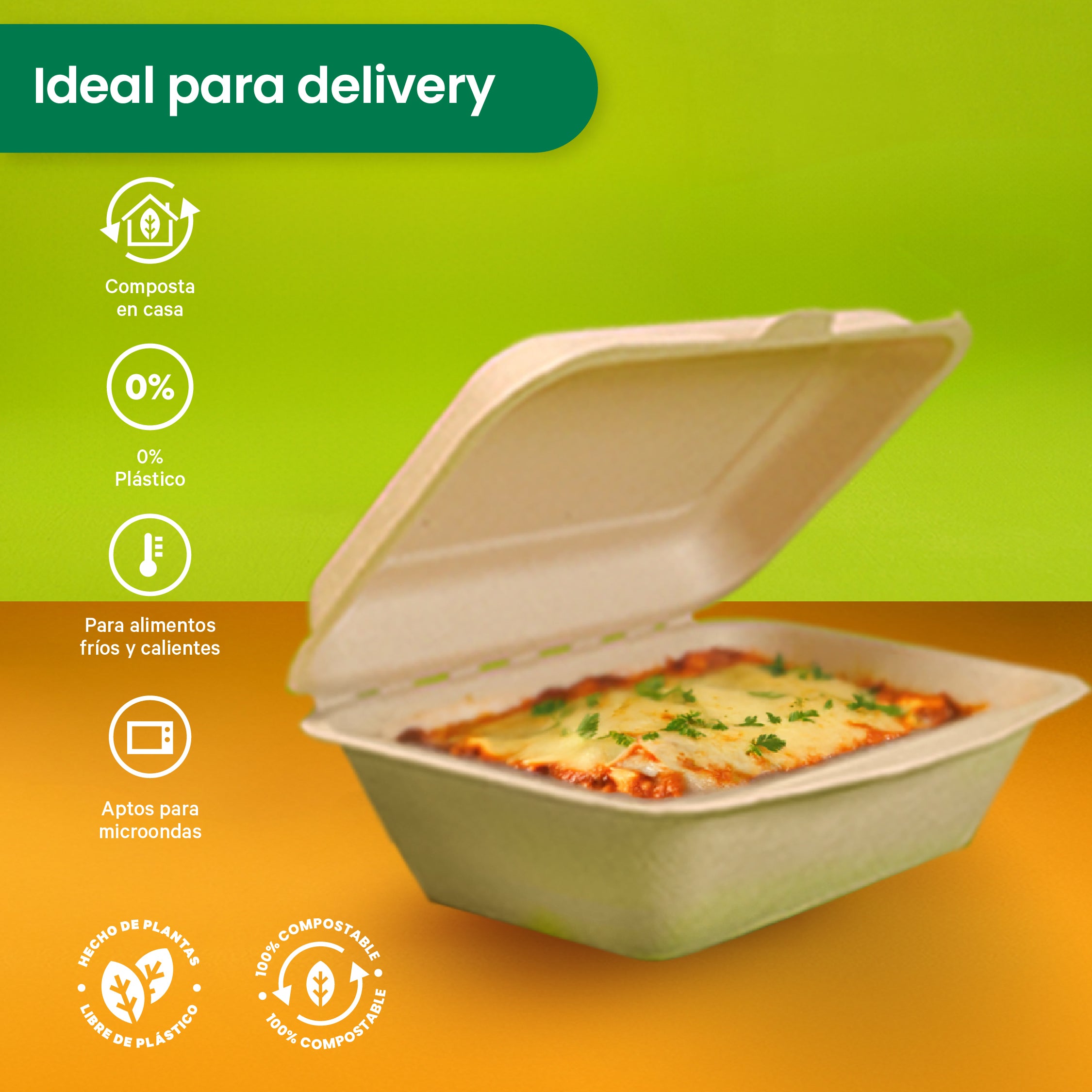 Disposable and Biodegradable Food Container 9x6x3 - We Care