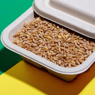 Tapa de Trigo Lunch Box Desechable y Biodegradable De 10x7 -