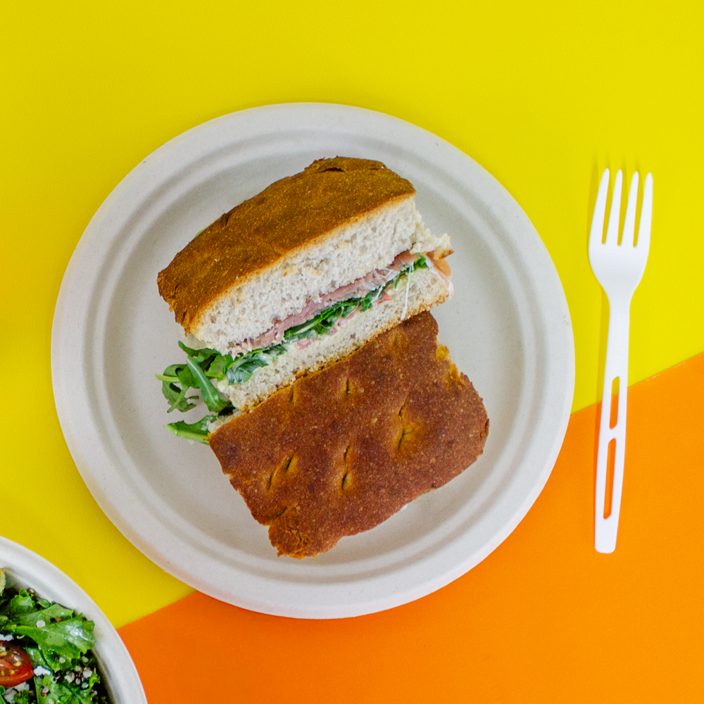 9" Disposable and Biodegradable Plate with 3 Div. - We Care