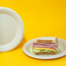 9" Disposable and Biodegradable Plate with 3 Div. - We Care