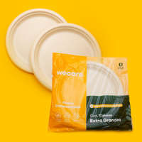 9" Disposable and Biodegradable Plate with 3 Div. - We Care