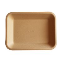 Biodegradable and Compostable Small Tray 15x15 cm