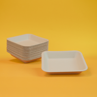 Biodegradable and Compostable Small Tray 15x15 cm