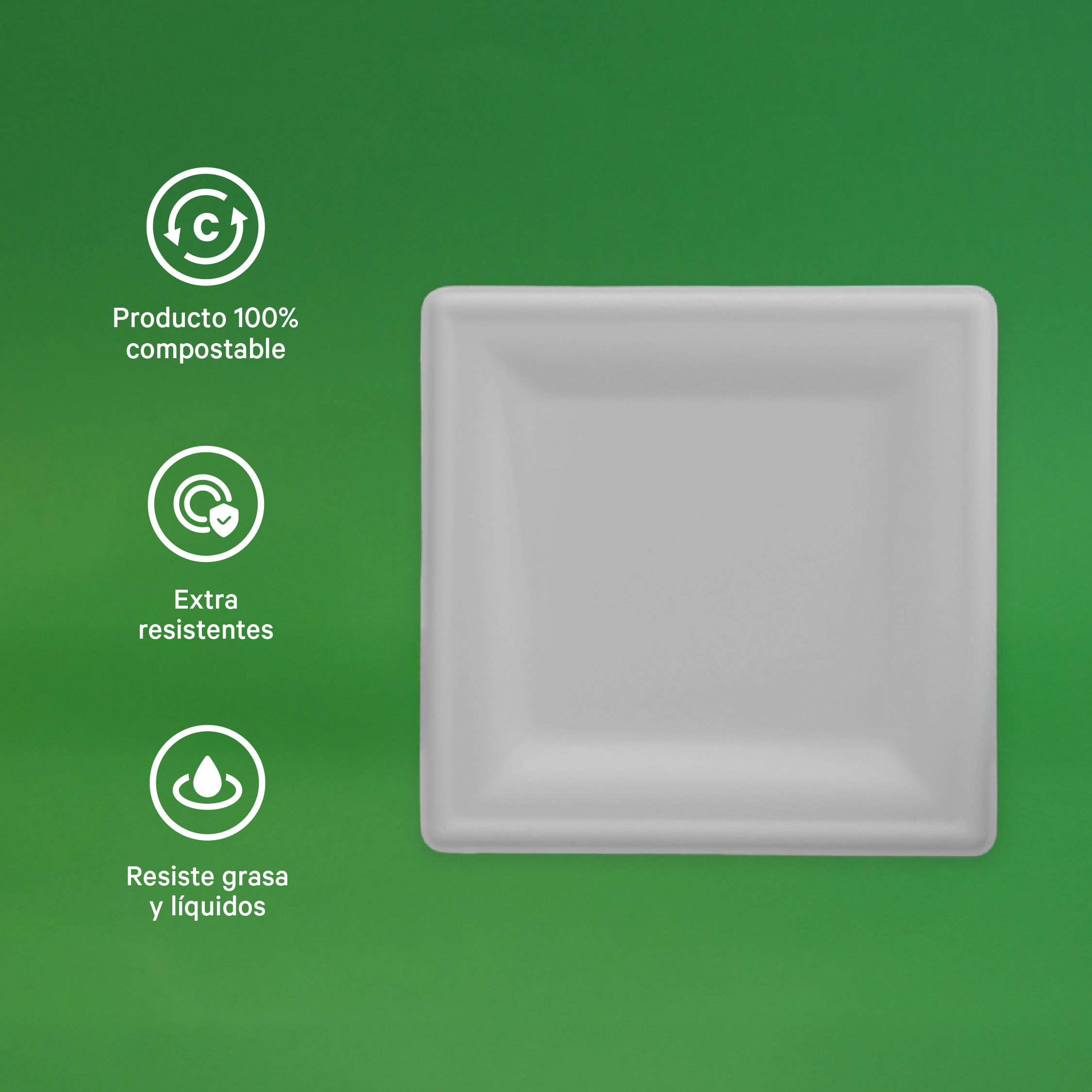6" Biodegradable Disposable Square Plate - We Care