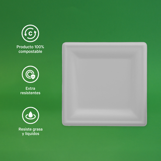 6" Biodegradable Disposable Square Plate - We Care
