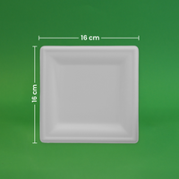 6" Biodegradable Disposable Square Plate - We Care