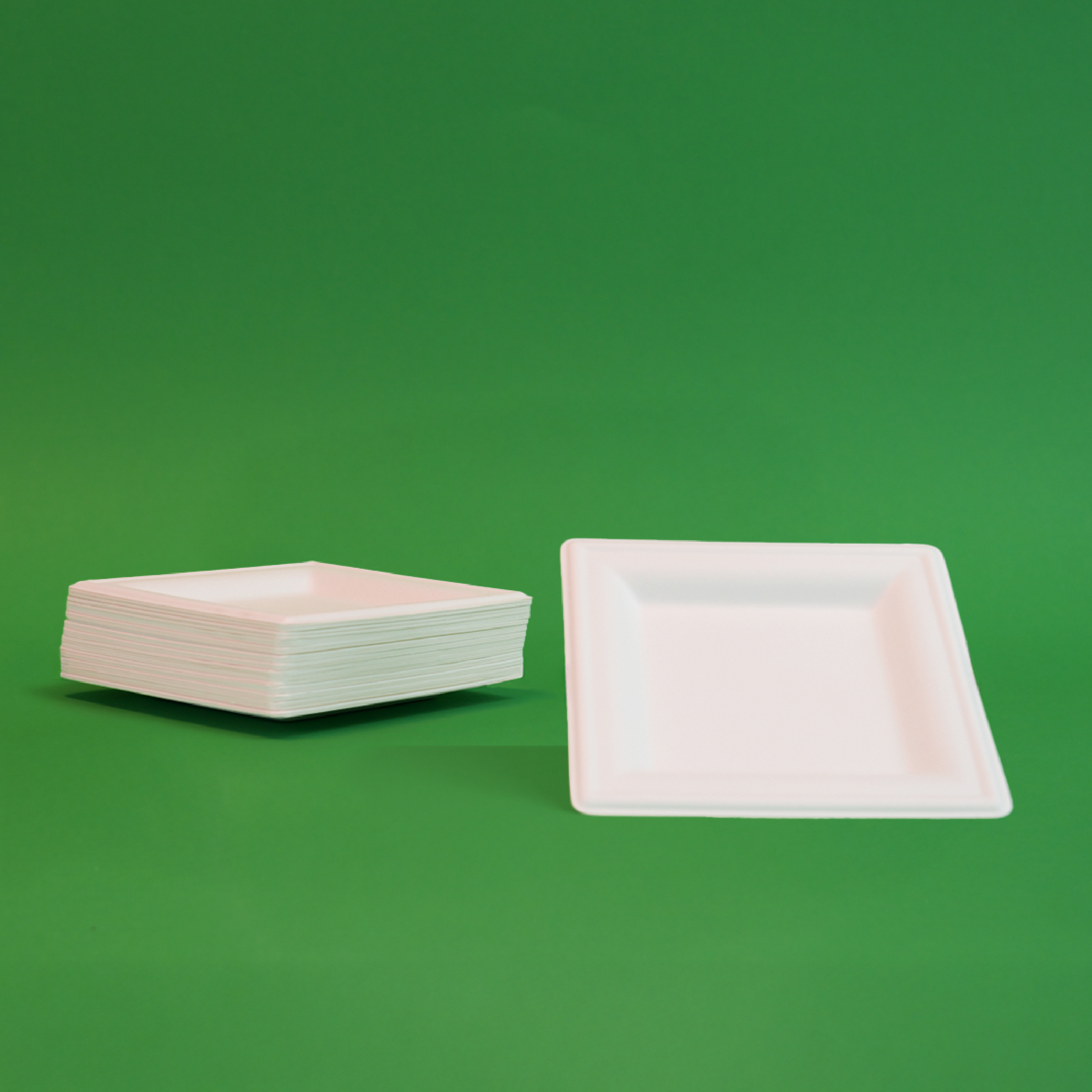 6" Biodegradable Disposable Square Plate - We Care