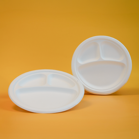 9" Disposable and Biodegradable Plate with 3 Div. - We Care