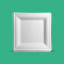 6" Biodegradable Disposable Square Plate - We Care