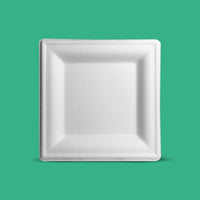 6" Biodegradable Disposable Square Plate - We Care