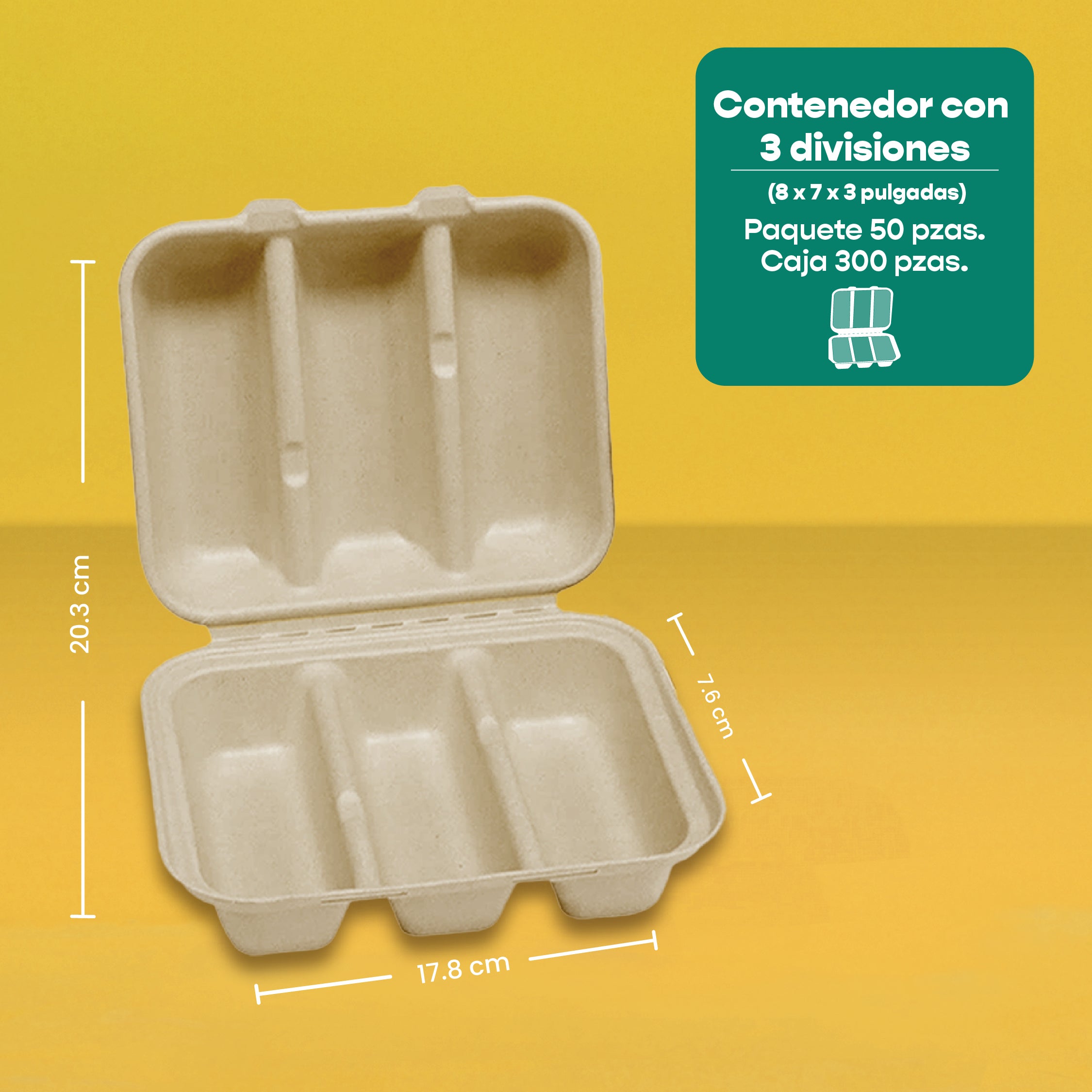 Disposable and Biodegradable Food Container 8x8x3 w/3 Dividers - We Care