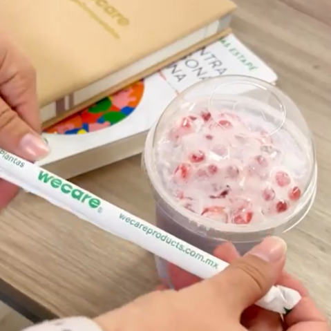 Boxed Frappé Straws 21 cm x 0.9 cm - we care 