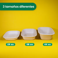 Wheat Tapa For Lunch Box We Care -From 29 to 44 oz