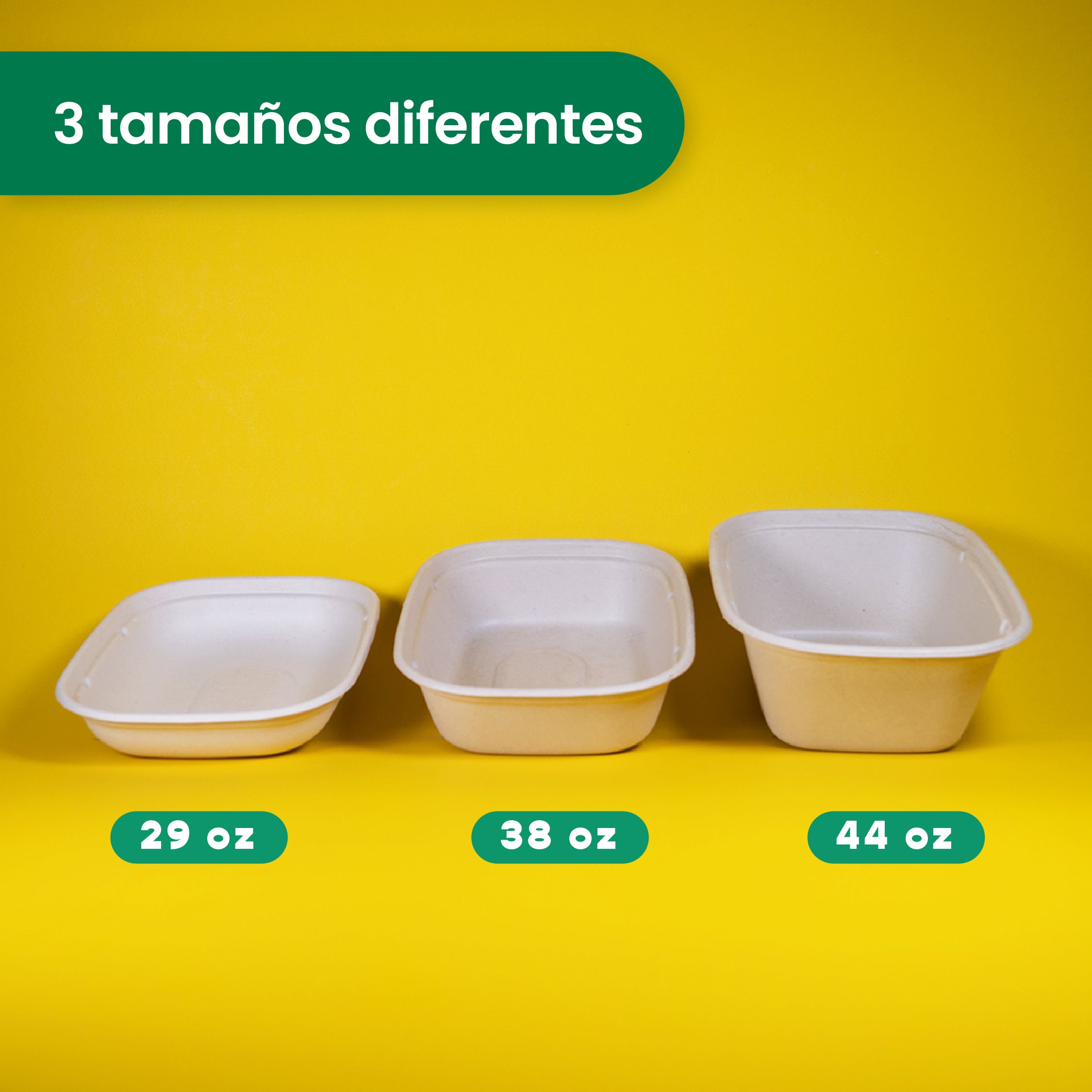 Wheat Tapa For Lunch Box We Care -From 29 to 44 oz