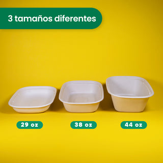 Tapa Trigo Lunch Box  | Bagazo trigo | 29 - 44 oz | Compostable y biodegradable