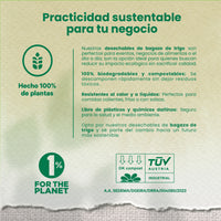 Wheat Tapa For Lunch Box We Care -From 29 to 44 oz