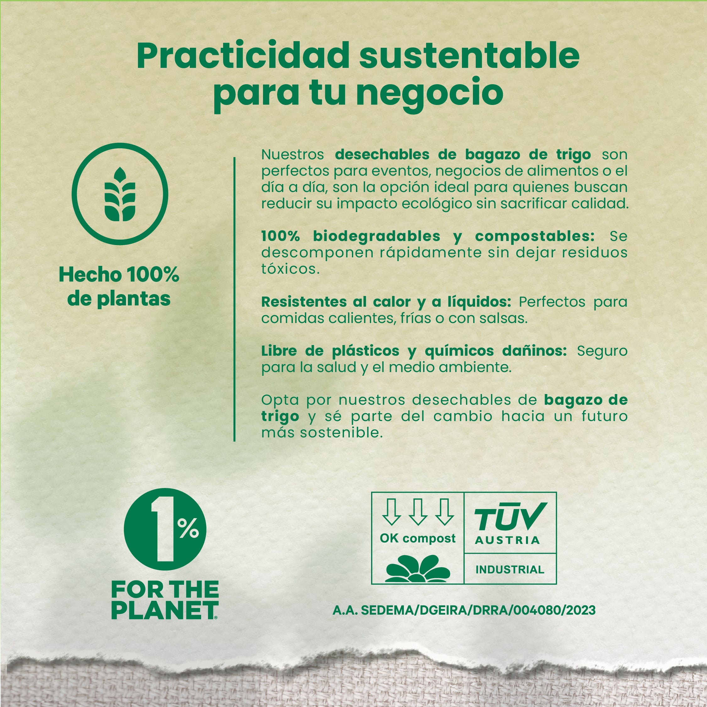 Wheat Tapa For Lunch Box We Care -From 29 to 44 oz