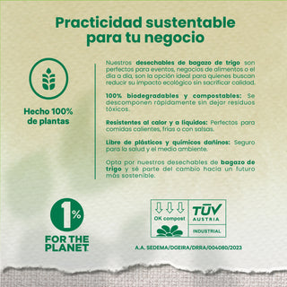 Tapa Trigo Lunch Box  | Bagazo trigo | 29 - 44 oz | Compostable y biodegradable
