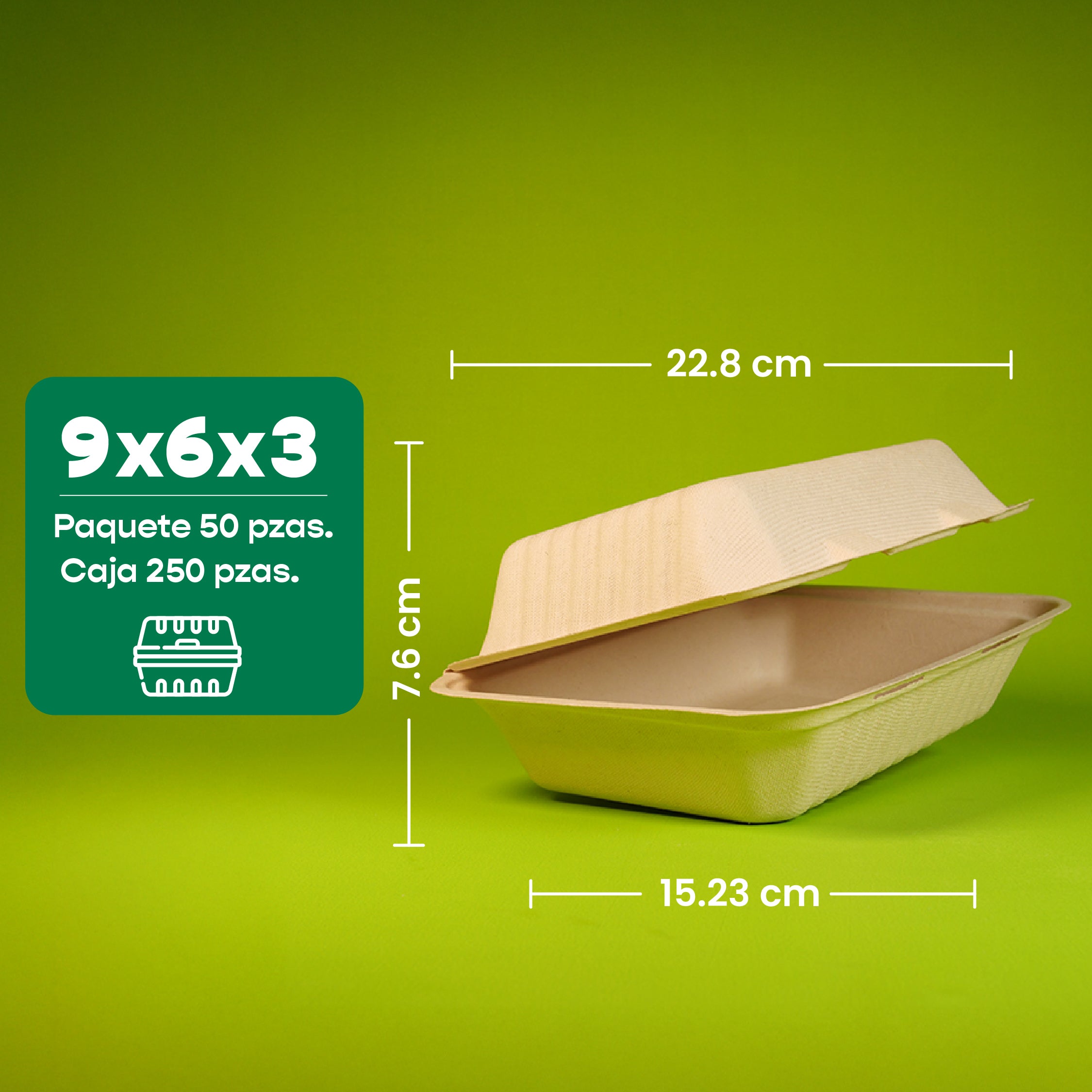 Disposable and Biodegradable Food Container 9x6x3 - We Care