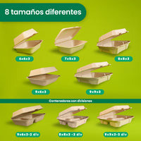 Disposable and Biodegradable Food Container 8x8x3 w/3 Dividers - We Care