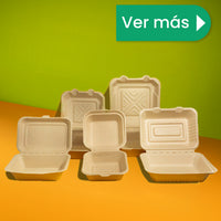 Disposable and Biodegradable Food Container 8x8x3 w/3 Dividers - We Care