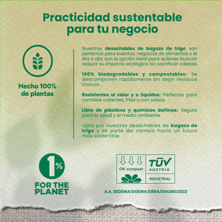 Charola Chica | Bagazo Trigo |15x15 cm | Compostable y biodegradable