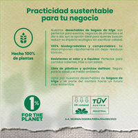 Disposable and Biodegradable Food Container 8x8x3 w/3 Dividers - We Care