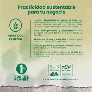 Contenedor Almeja 3 div. | Bagazo Trigo | 8x8x3" / 20.3x20.3x7.6 cm | Compostable y biodegradable