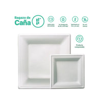 Plato Cuadrado Desechable y Biodegradable De 10 - We Care -