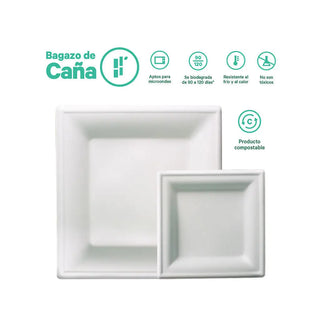 Plato Cuadrado Desechable y Biodegradable De 6 - We Care -