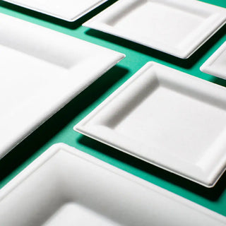 Plato Cuadrado Desechable y Biodegradable De 6 - We Care -